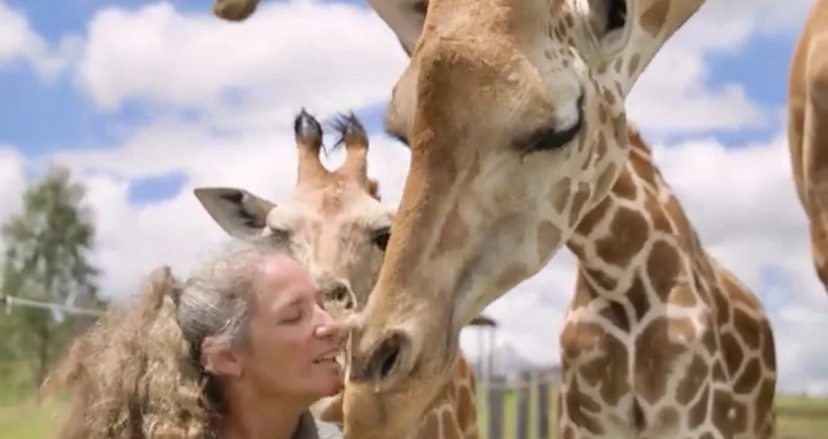 Additional image 22 of 21 Baines Road, Pilton QLD 4361