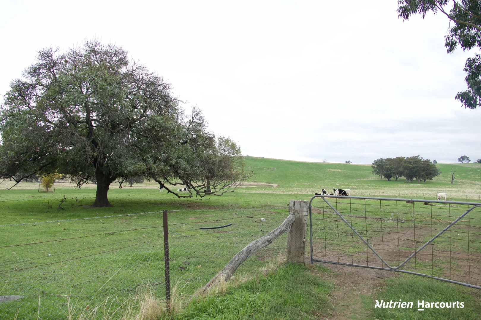 Additional image 19 of 109 Gall Lane, Balmattum VIC 3666