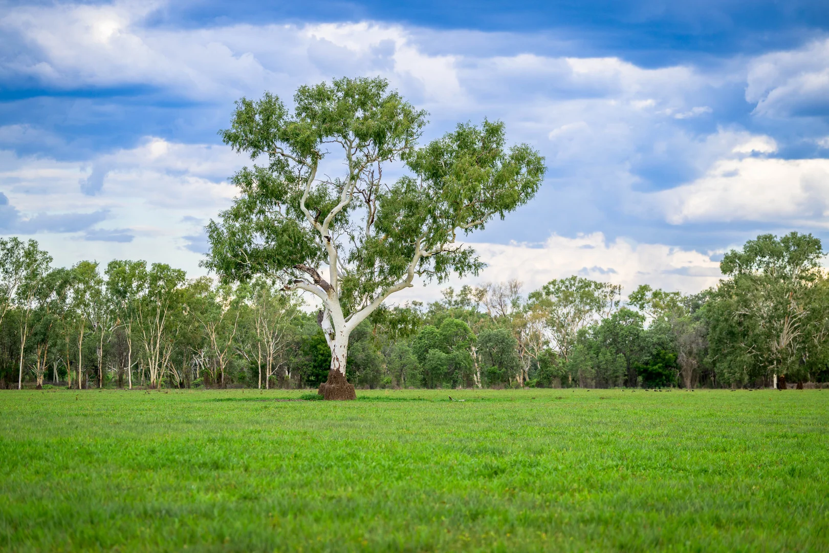 Additional image 34 of 295, 443 and 585 Florina Road, Katherine NT 0850