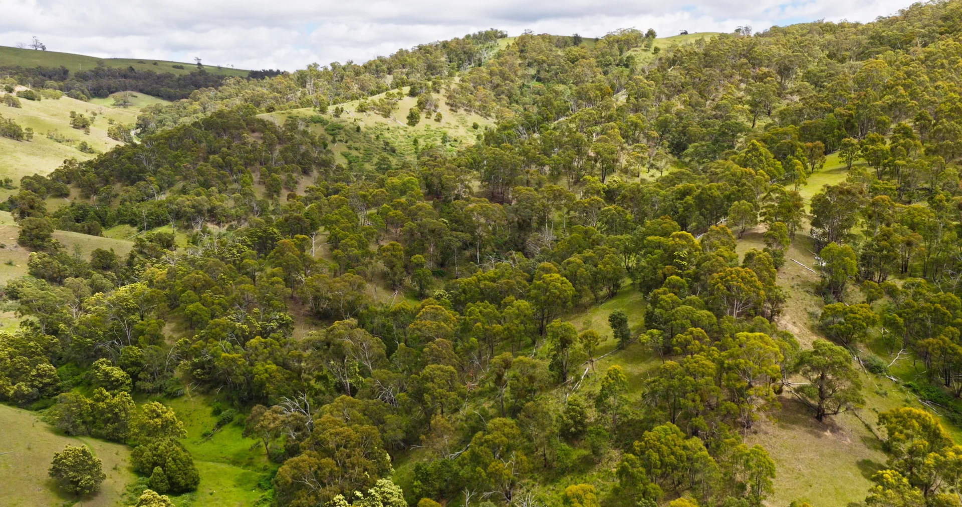 Additional image 11 of Lot 3 - 289 Tongio Gap Road, Tongio VIC 3896