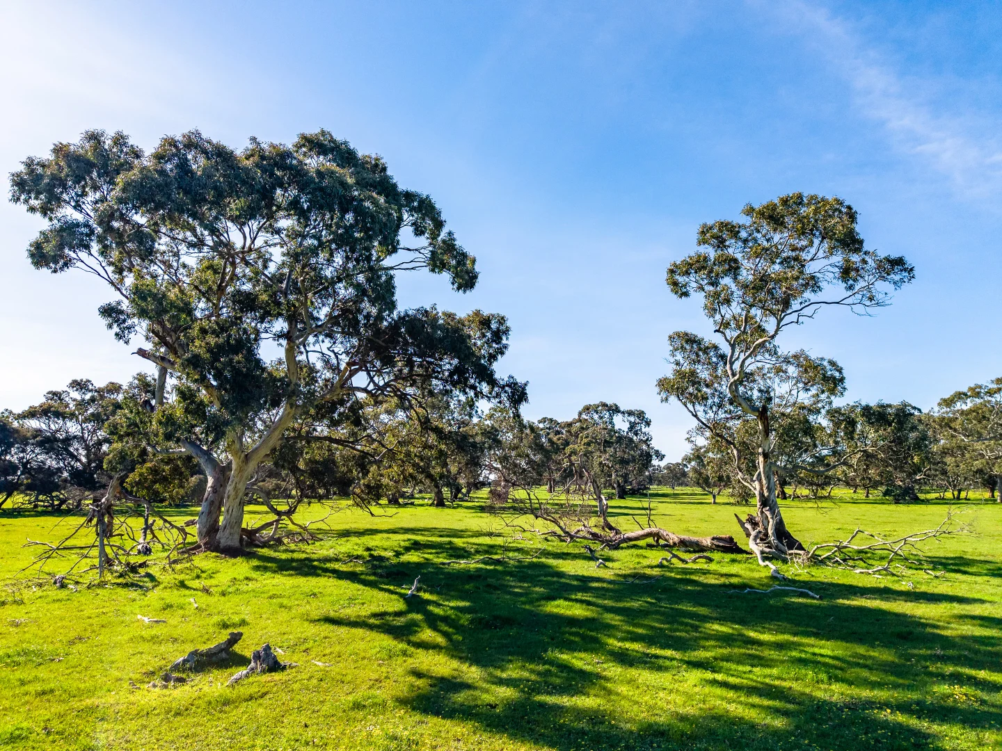 Additional image 5 of 641 Minnie Crowe Road, Avenue Range SA 5273