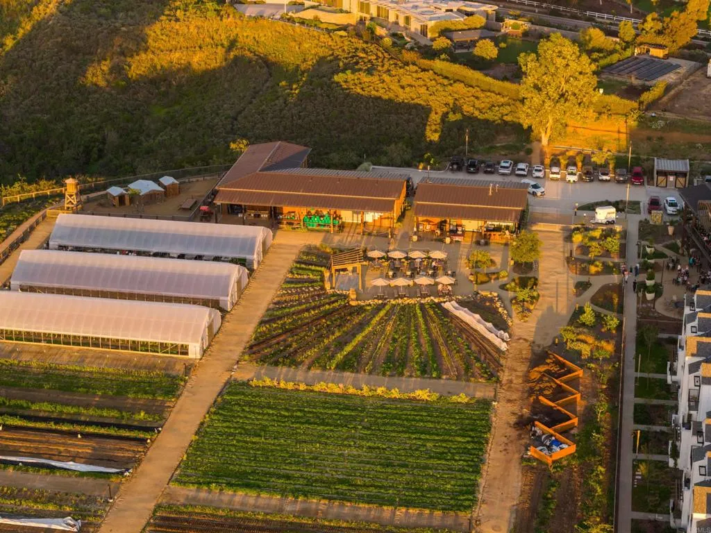 Additional image 42 of 1044 Palmaria Court, Encinitas, CA 92024