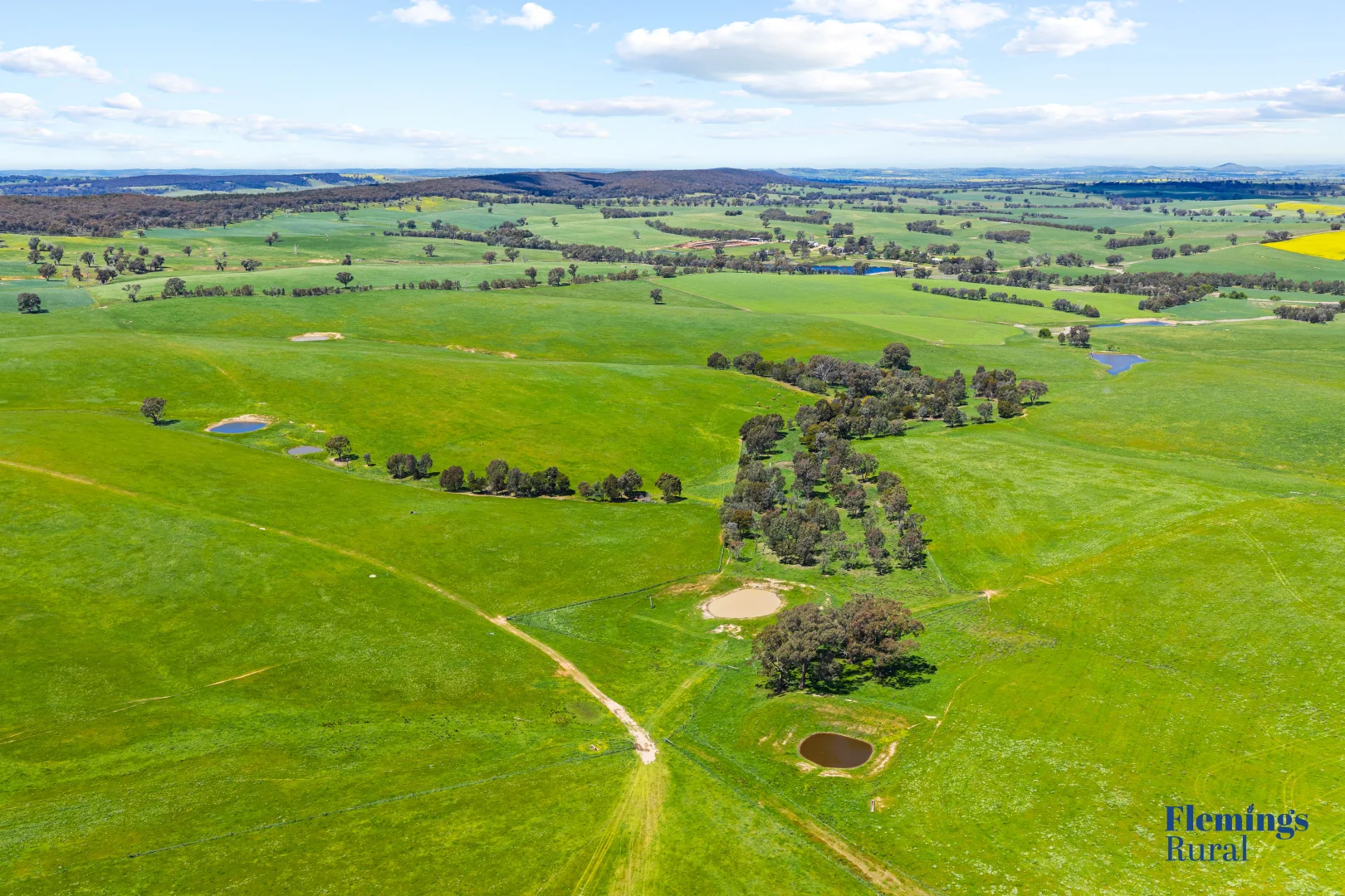 Additional image 21 of 105 Peakview Road, Young NSW 2594