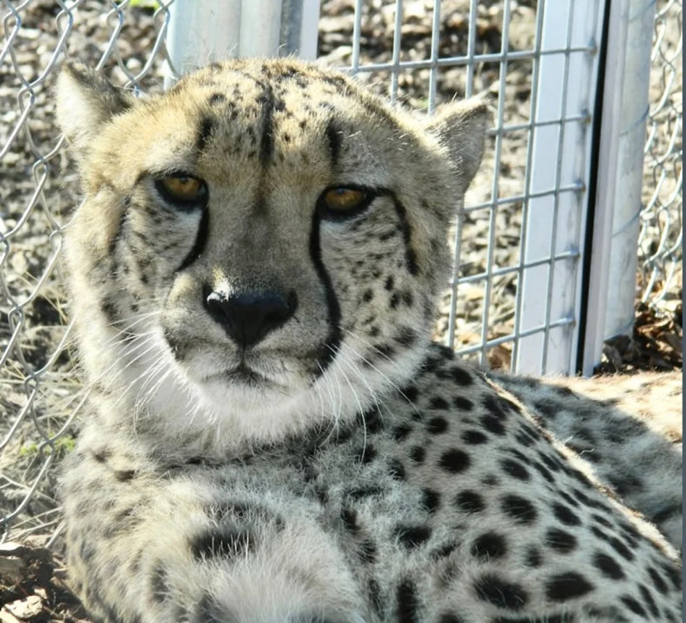 Additional image 27 of 21 Baines Road, Pilton QLD 4361