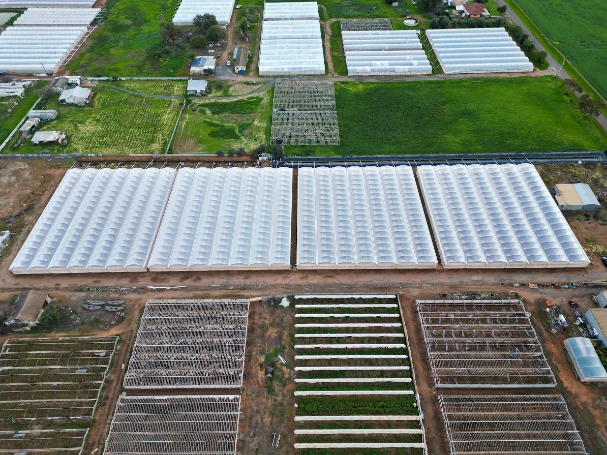 Additional image 6 of 56 Rowland Road, Virginia SA 5120