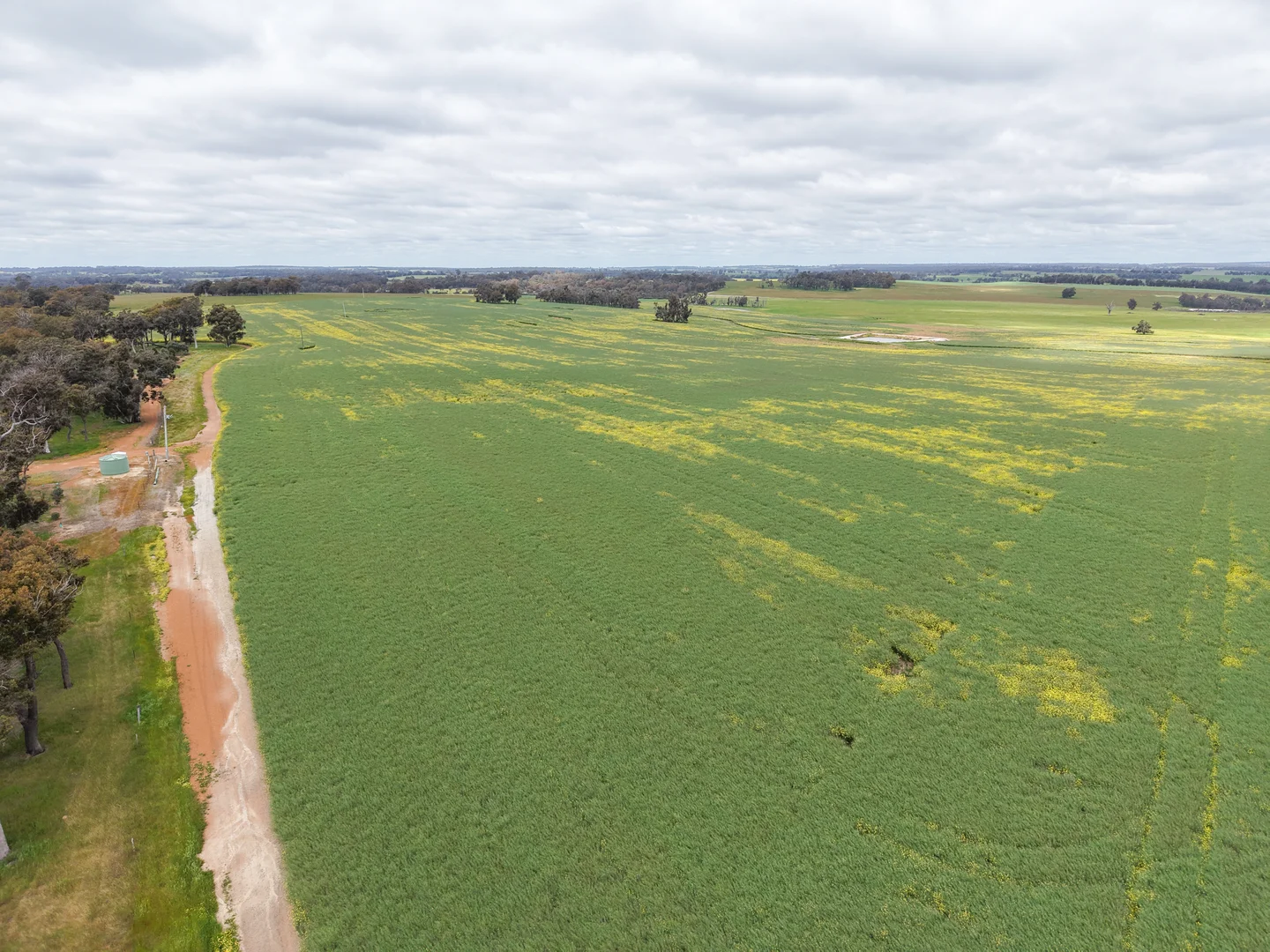 Additional image 15 of 495 Narlingup Road, Qualeup WA 6394