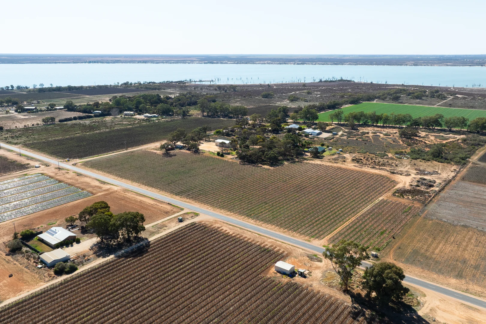 Additional image 3 of Lot 1 Morgan Road, Barmera SA 5345