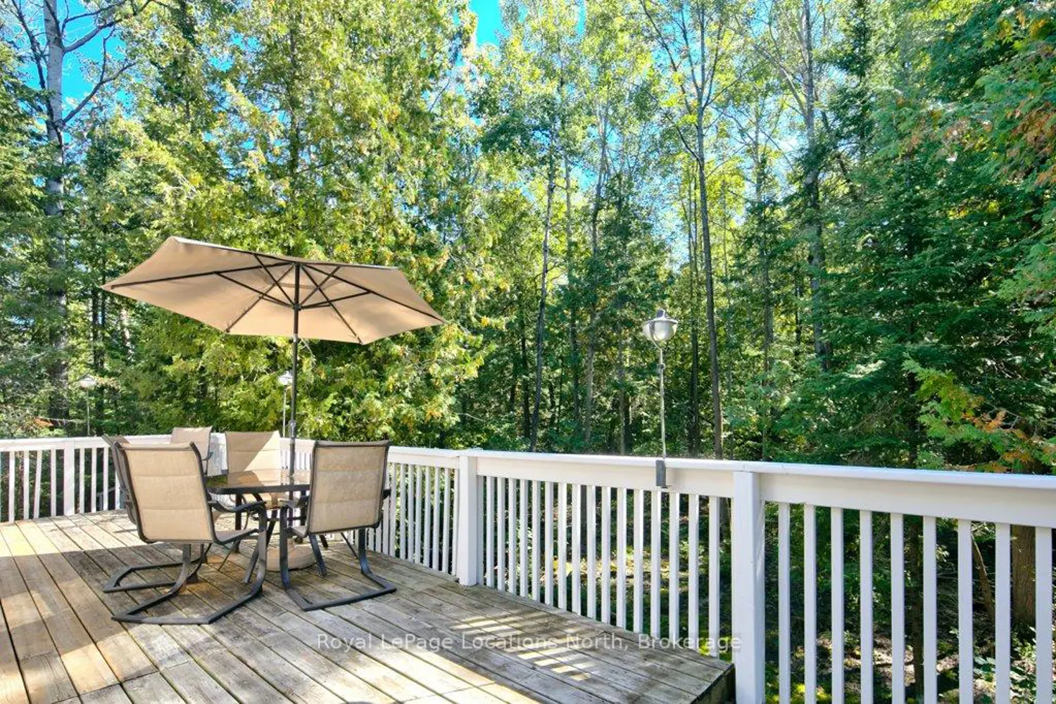 Additional image 14 of 112 Cameron Street