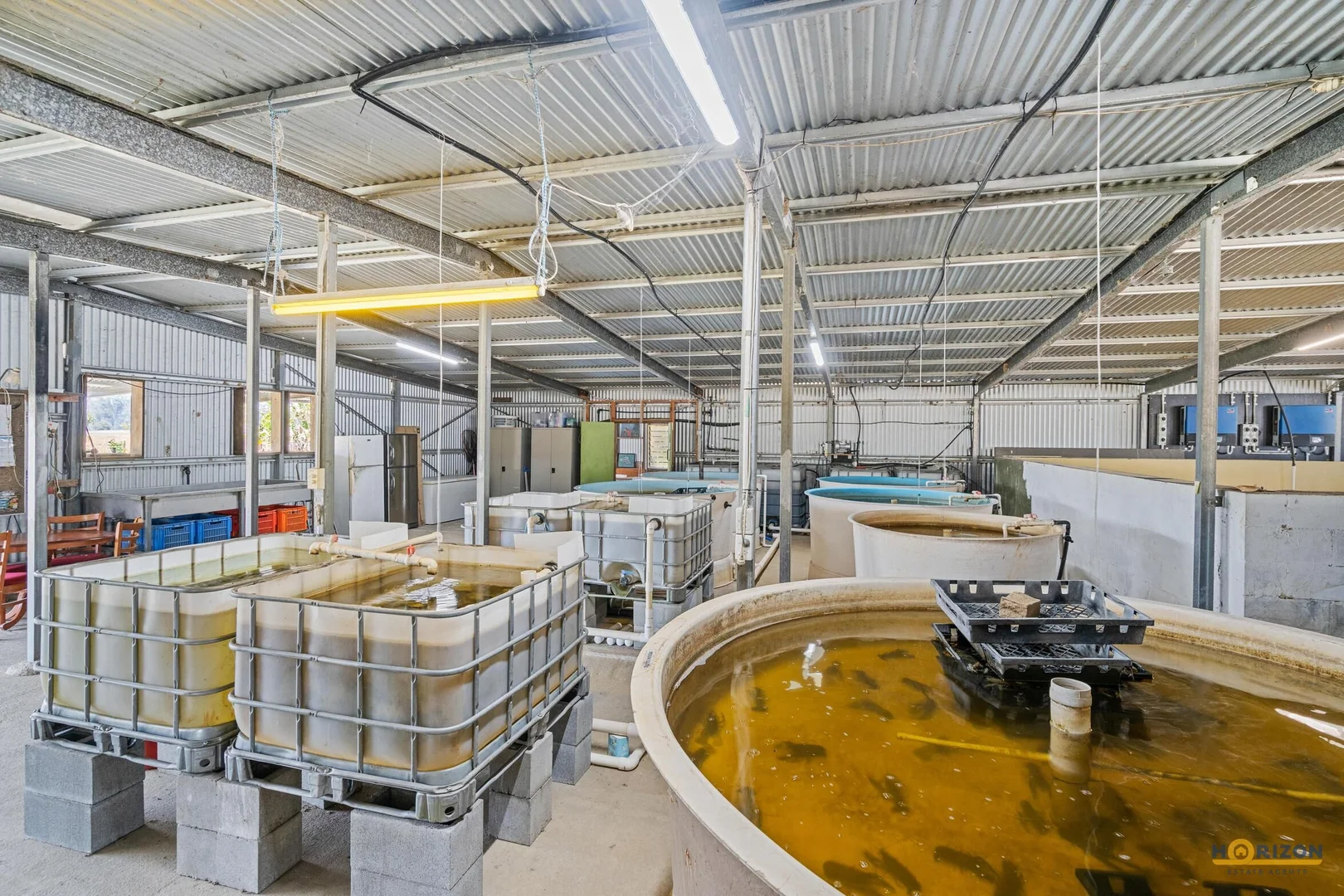 Additional image 29 of 586 Hodzic Road, Biboohra QLD 4880