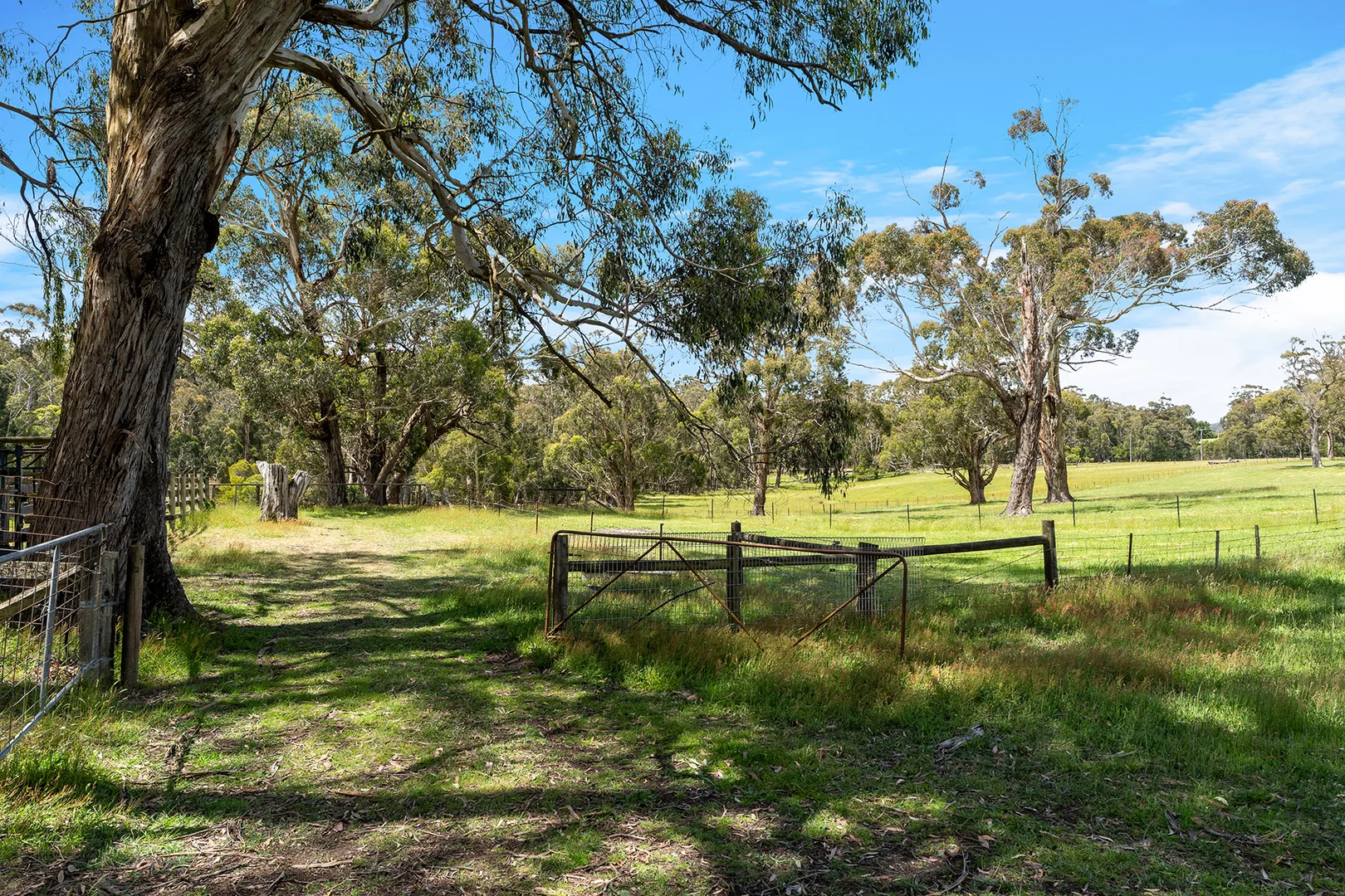 Additional image 20 of 62 and 82 Fitzgerald Road, Bullengarook VIC 3437