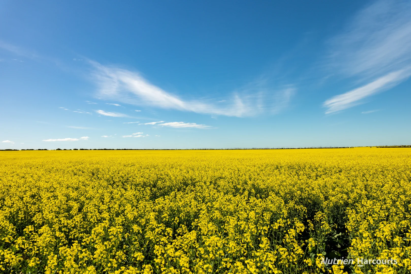 Additional image 8 of . Kendall Road, Scaddan WA 6447