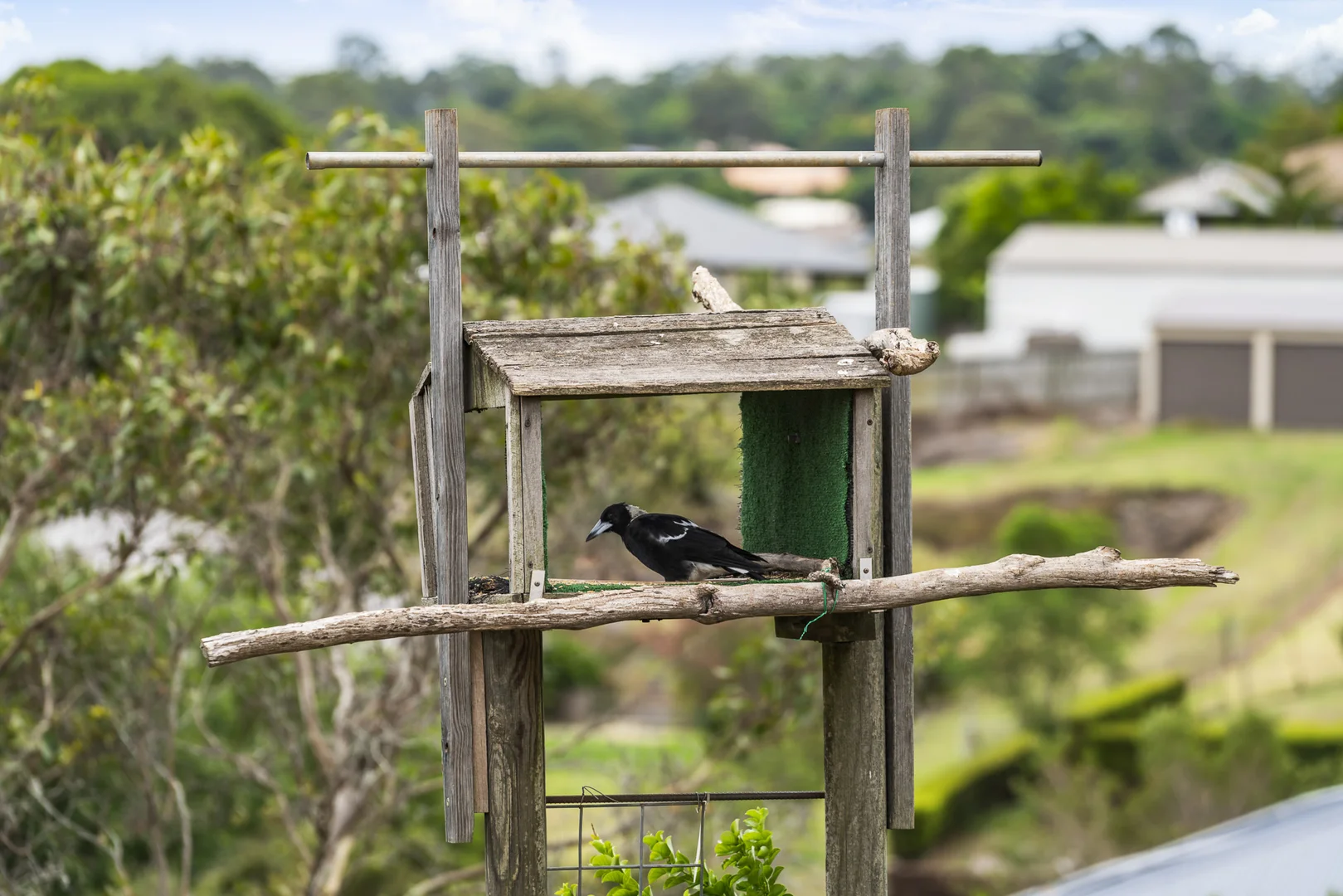 Additional image 27 of 6 Wedgetail Drive, Highfields QLD 4352