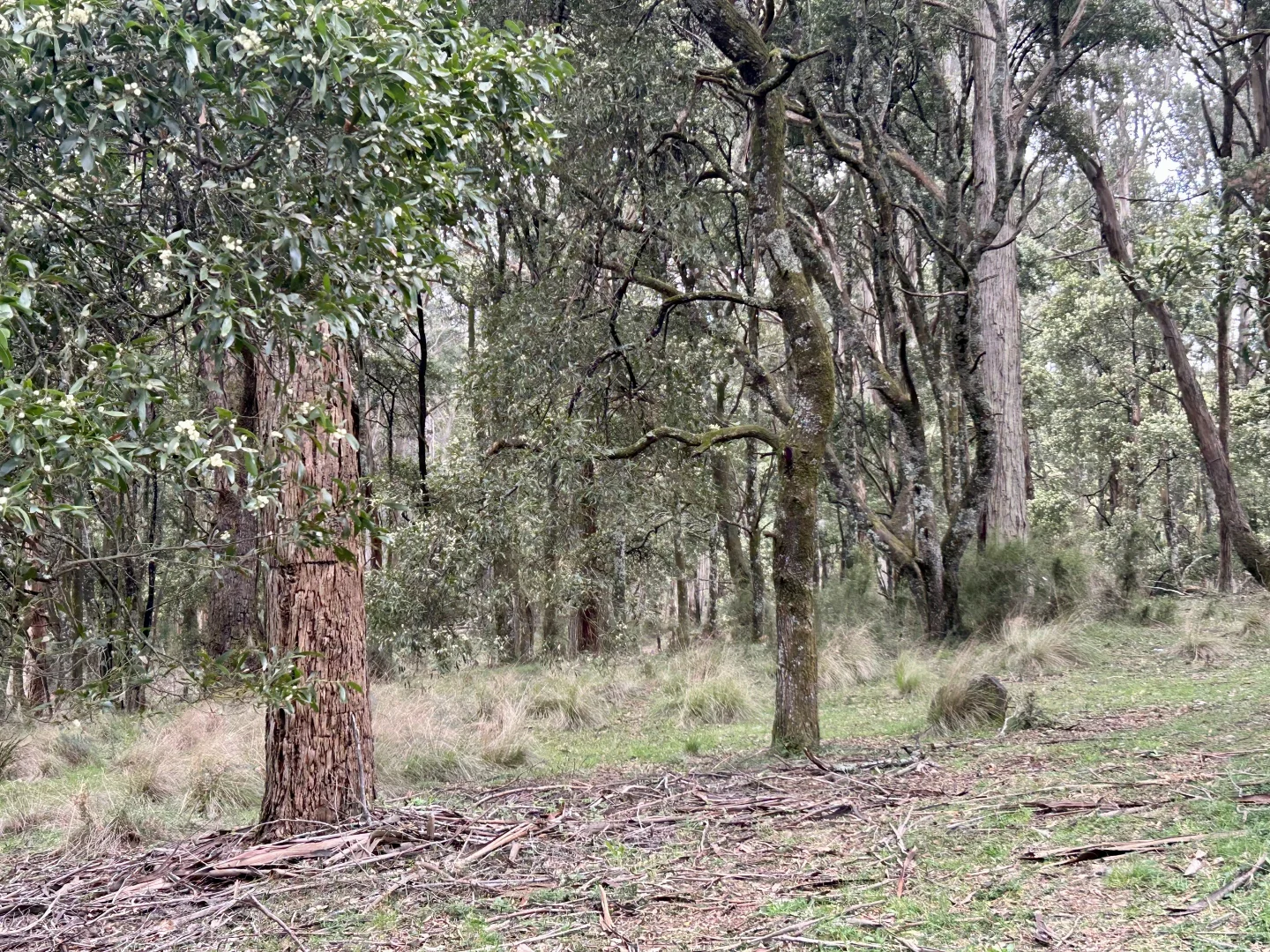 Additional image 12 of 975 Daylesford-Trentham Road, Bullarto VIC 3461