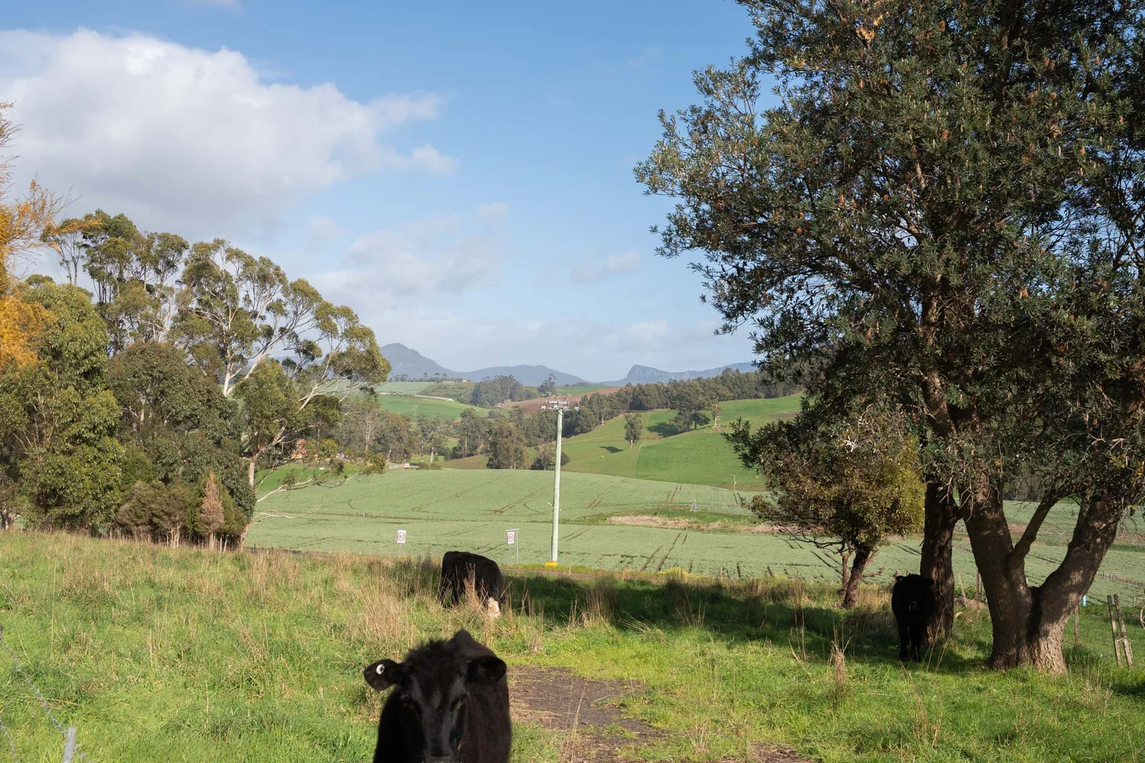 Additional image 10 of 10 Top Gawler Road, Gawler TAS 7315