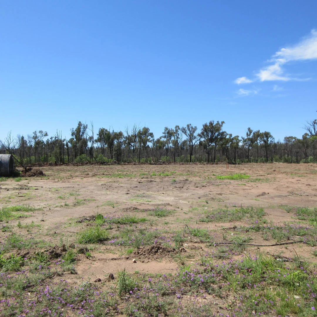 Additional image 4 of #48 Kookaburra Drive, Tara QLD 4421