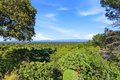 Additional image 37 of 19601 Canon Dr, Los Gatos, CA, 95030
