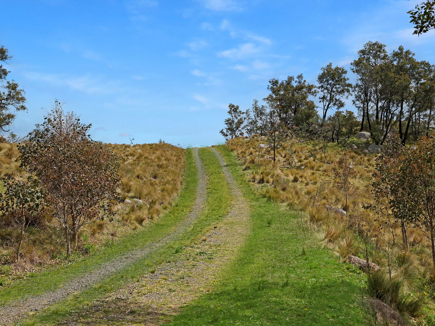 Additional image 16 of 116 Pheasant Gully Road, Bullio NSW 2575
