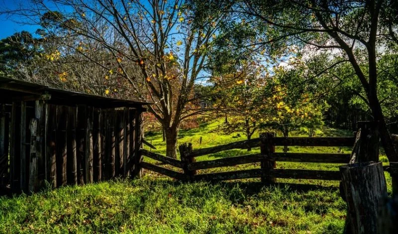 Additional image 16 of 224 Wallaroo Range Road, Willsons Downfall NSW 2372