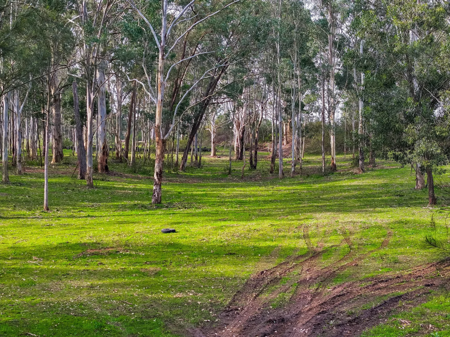 Additional image 6 of 61a - 69a James Street, Wallacia NSW 2745