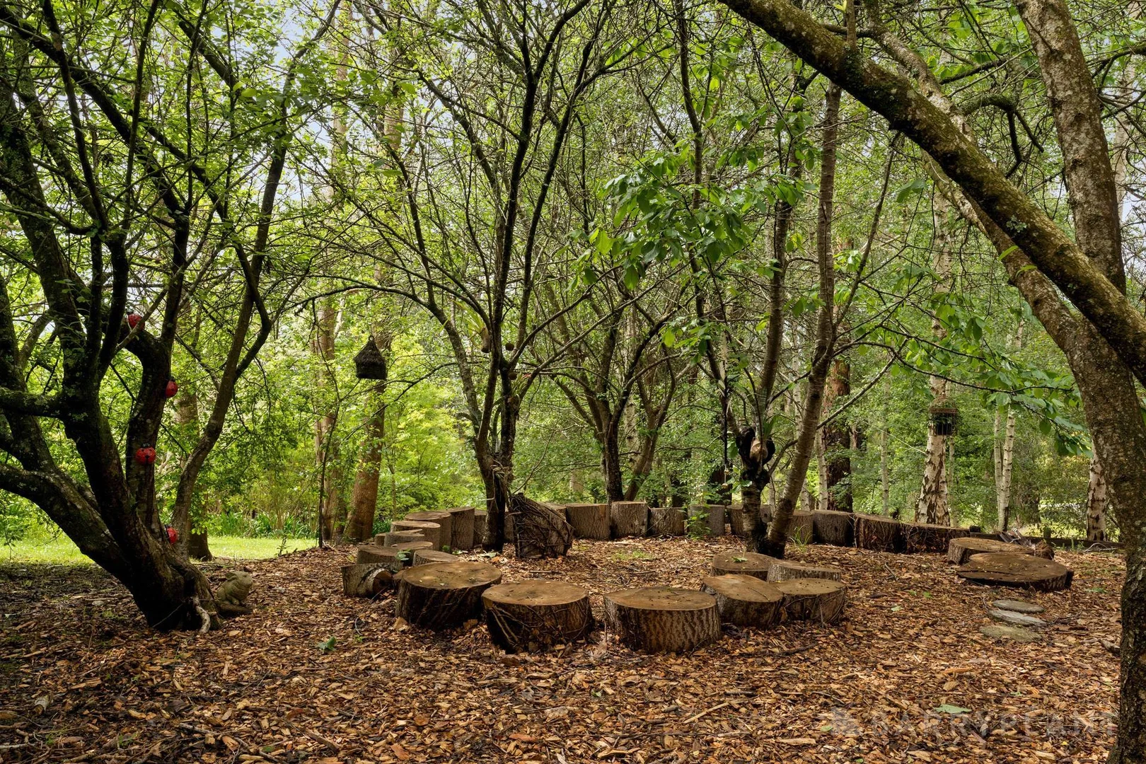 Additional image 24 of 4 Naughton Street, Cockatoo VIC 3781