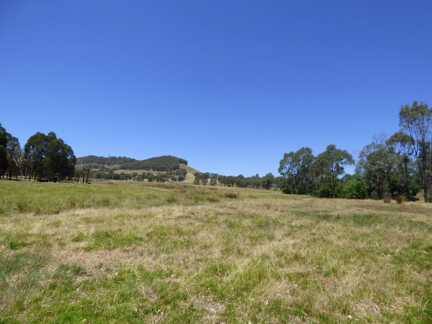 Additional image 14 of 409 McInnes Lane, Bobinawarrah VIC 3678