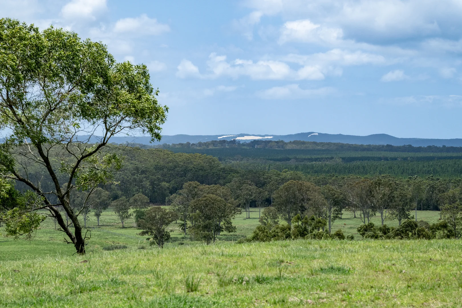 Additional image 2 of 239 Parsons Road, Coondoo QLD 4570