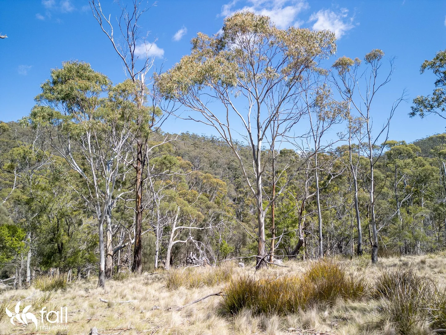 Additional image 4 of 402 Bruny Island Main Road, North Bruny TAS 7150