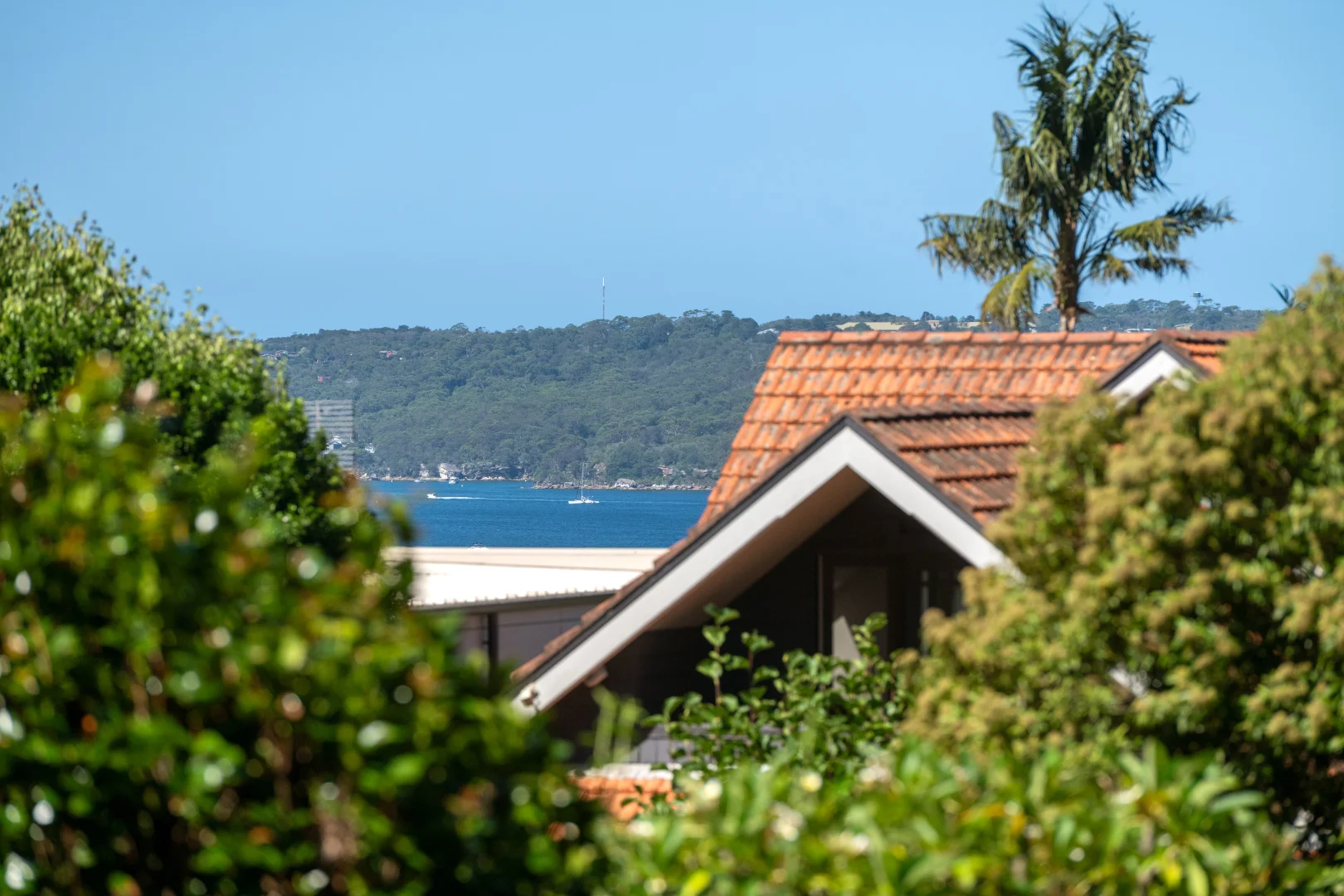 Additional image 2 of 4/36-40 Muston Street, Mosman NSW 2088