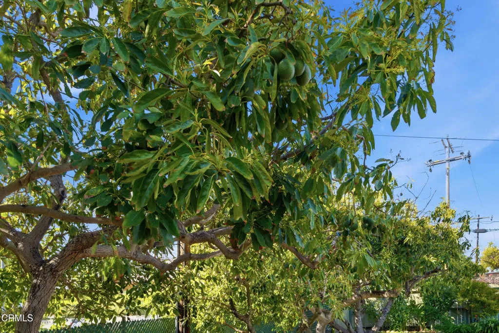 Additional image 41 of 189 Teloma Drive, Ventura, CA 93003