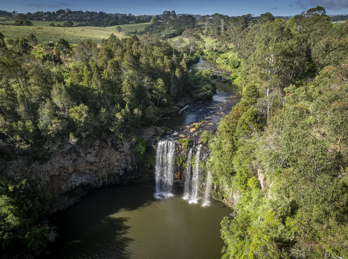 Additional image 18 of 294 Coramba Road, Dorrigo NSW 2453