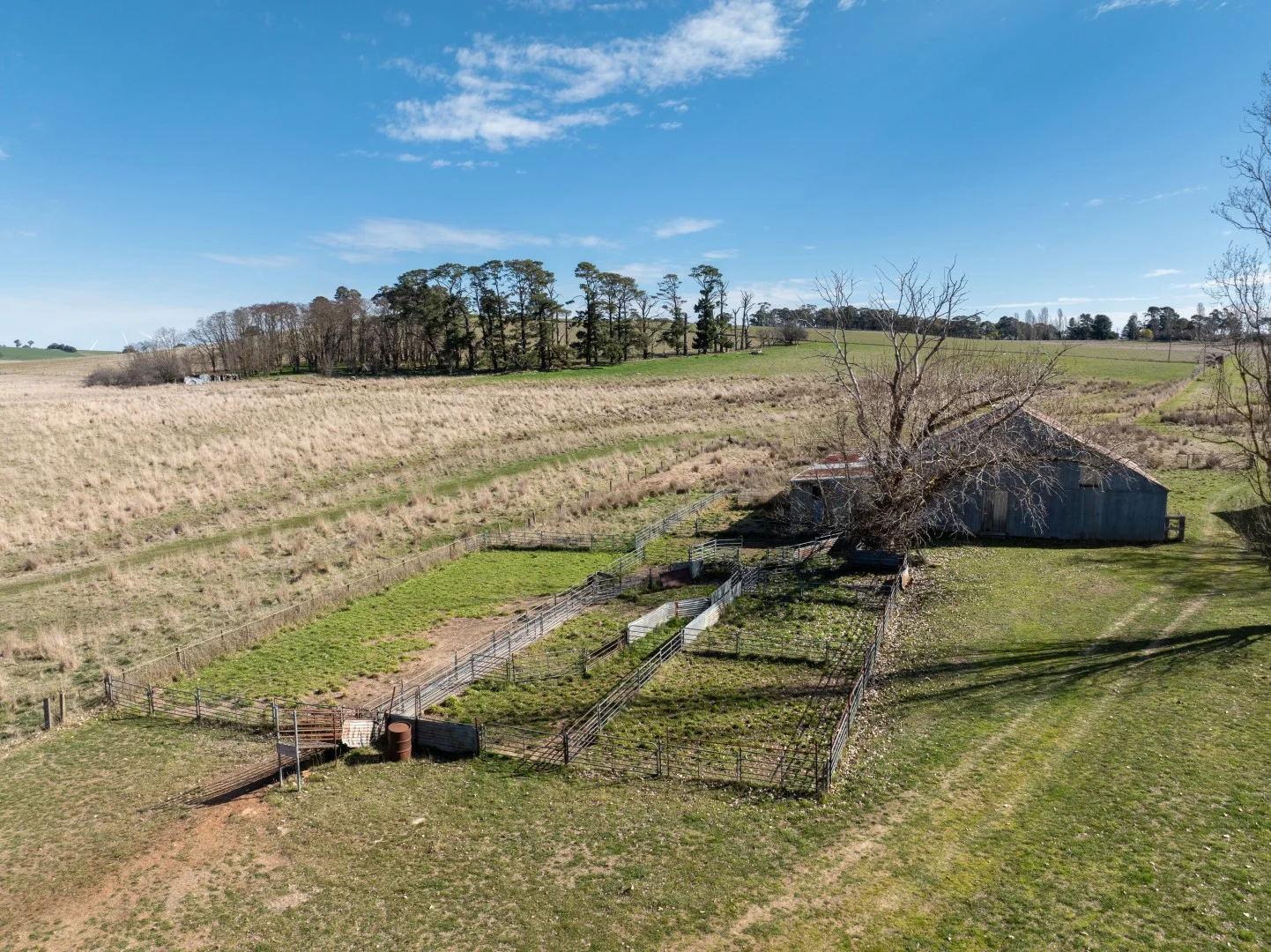 Additional image 8 of 706-709 Beneree Road, Forest Reefs NSW 2798