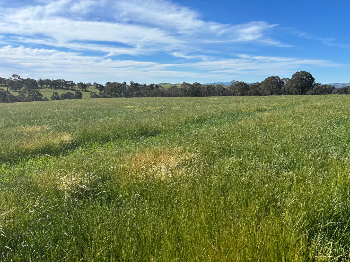 Additional image 6 of 1050 Garland Road, Garland NSW 2797