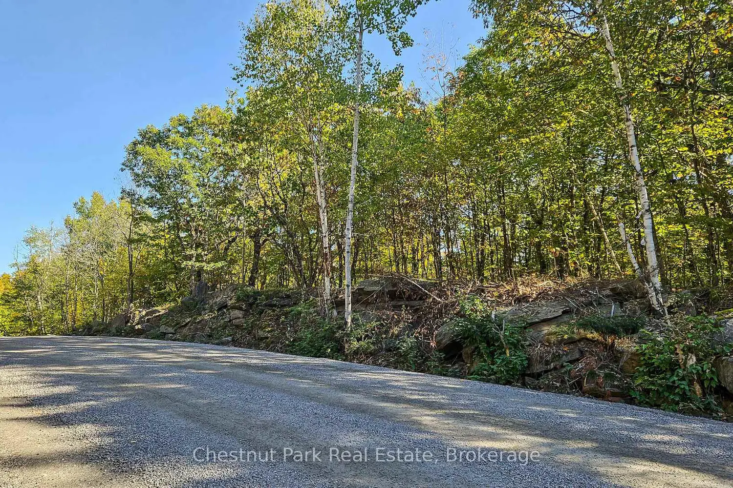 Additional image 9 of 0 Rostrevor Road