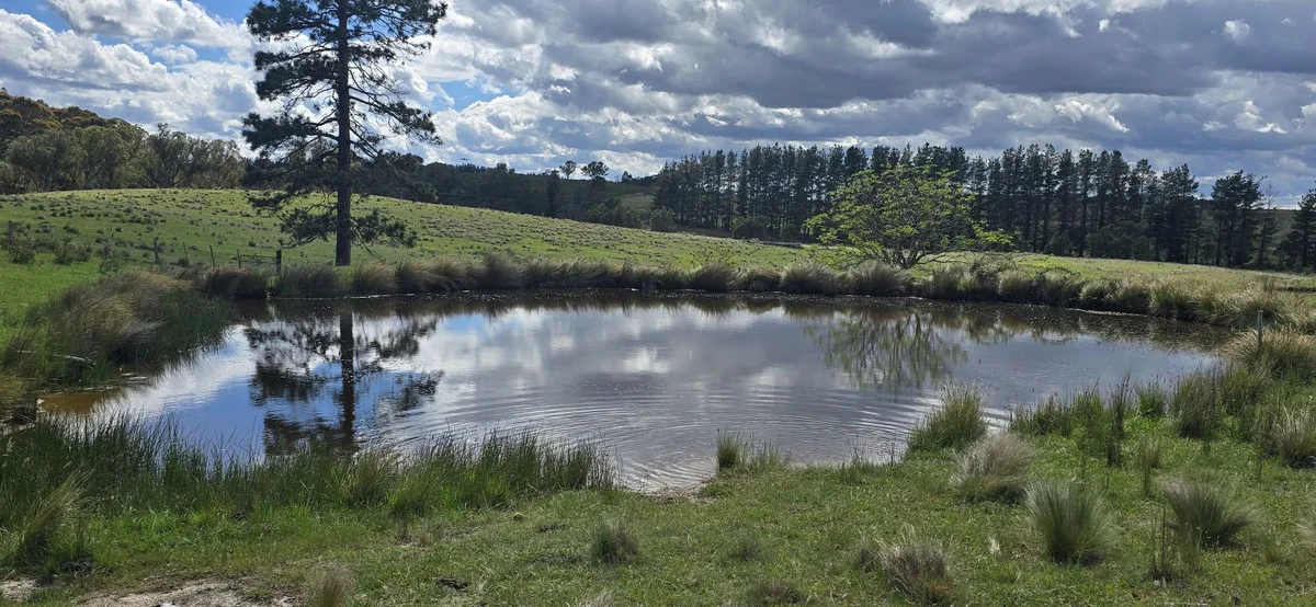 Additional image 2 of 3141 Oallen Ford Road, Windellama NSW 2580