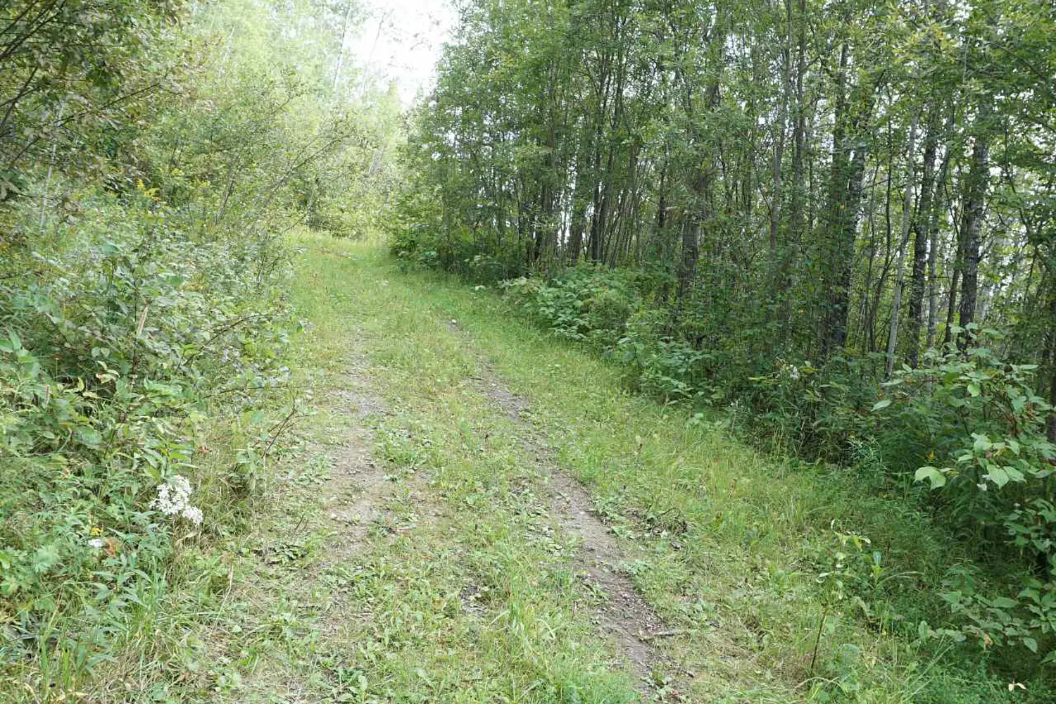 Additional image 20 of Lot 1 Campbell's Road