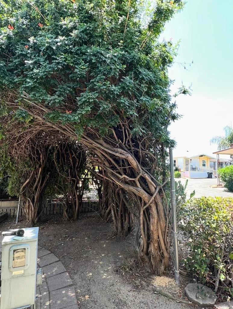 Additional image 24 of 16079 Yarnell Street SE Unit Space 5C, Sylmar, CA 91342