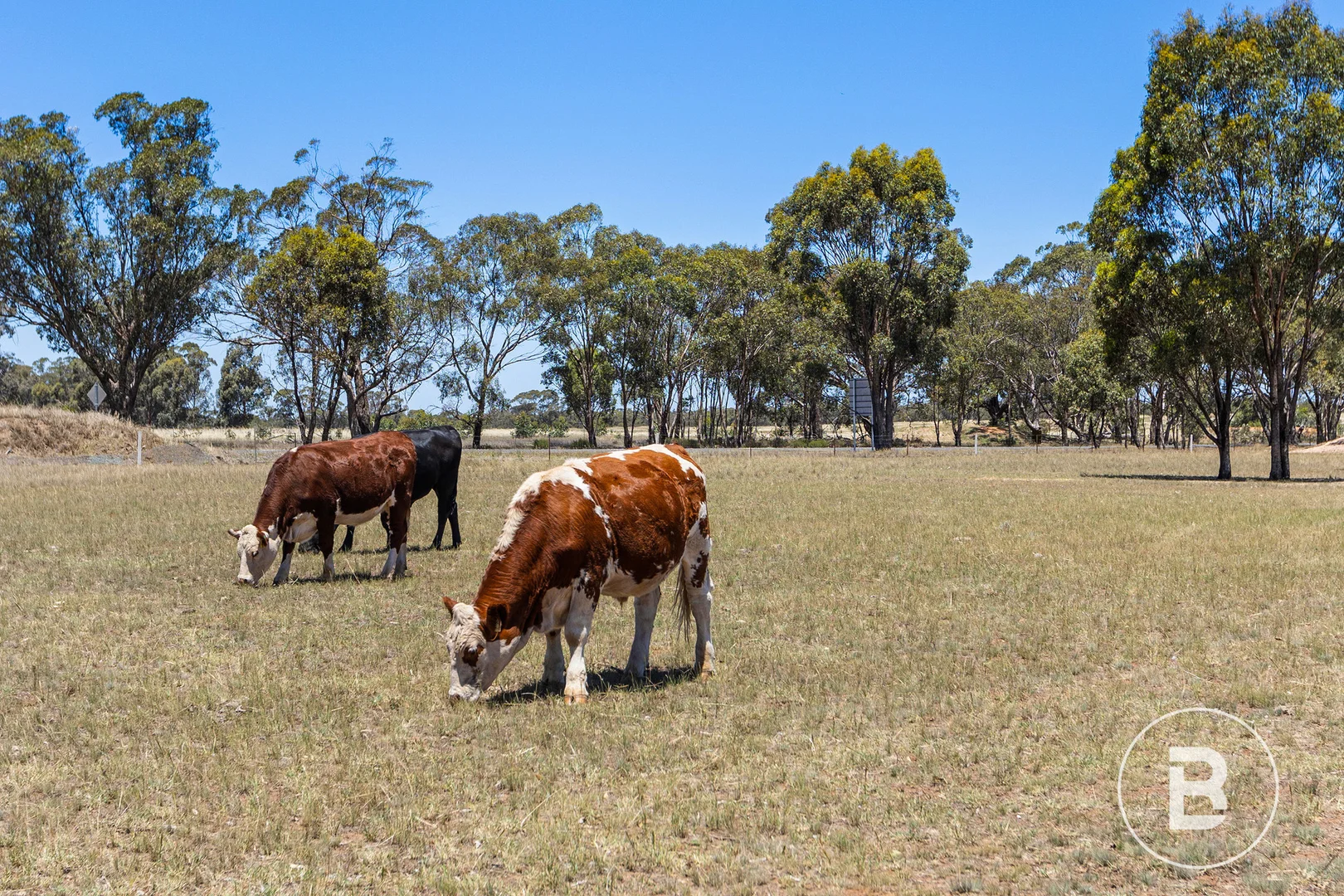 Additional image 11 of 34 Elmore Raywood Road, Kamarooka VIC 3570