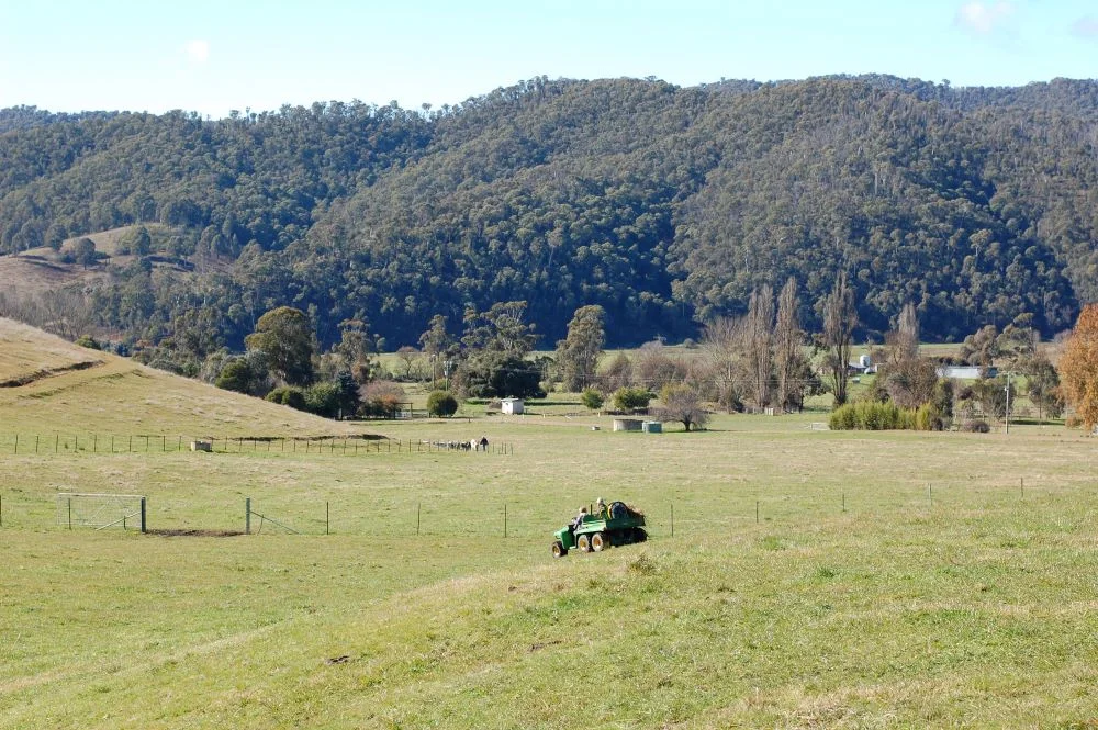 Additional image 28 of 40 Simpsons Creek Track, Nariel Valley VIC 3707
