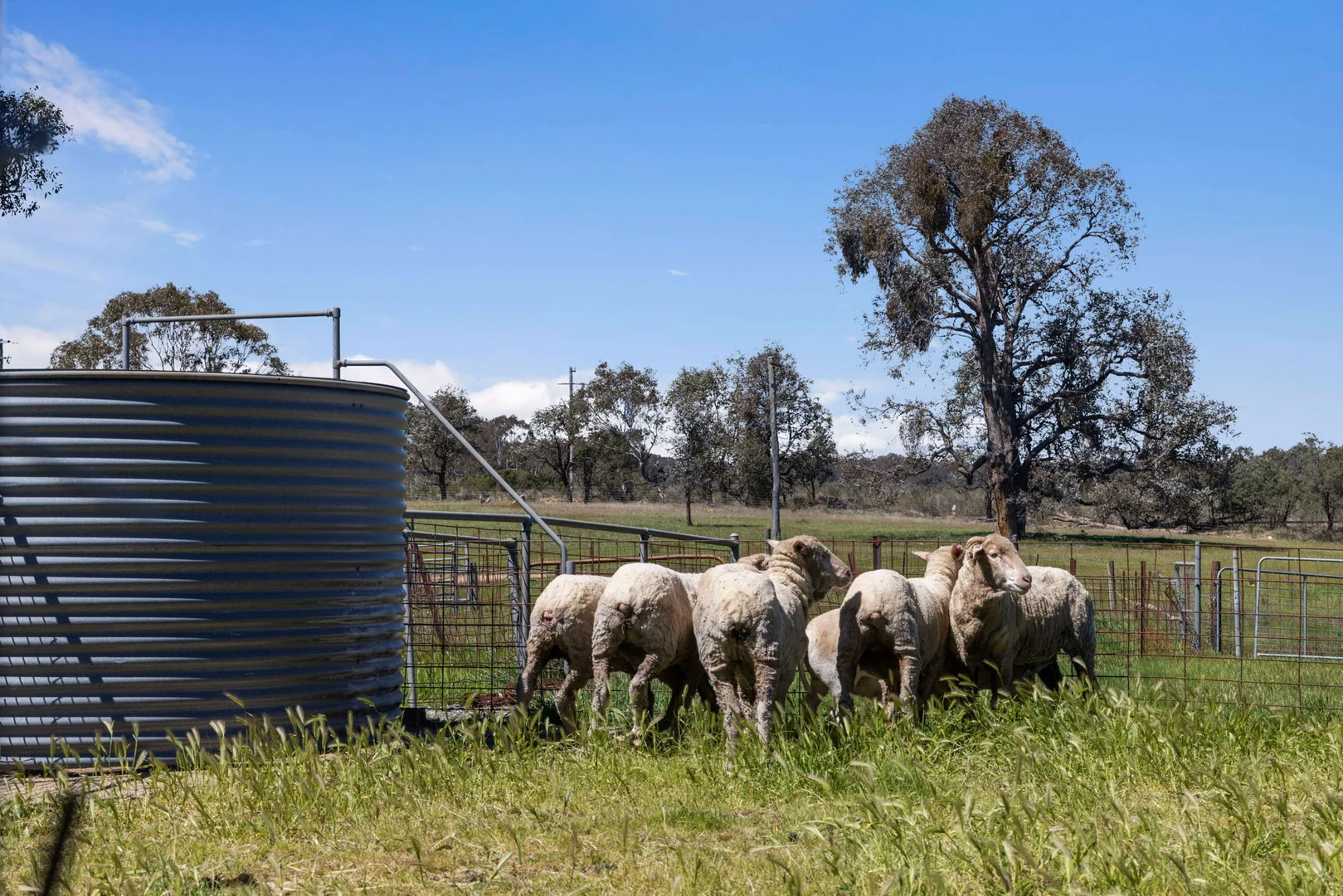 Additional image 24 of "Wattle Grove "1649 Coolalie Road, Yass NSW 2582