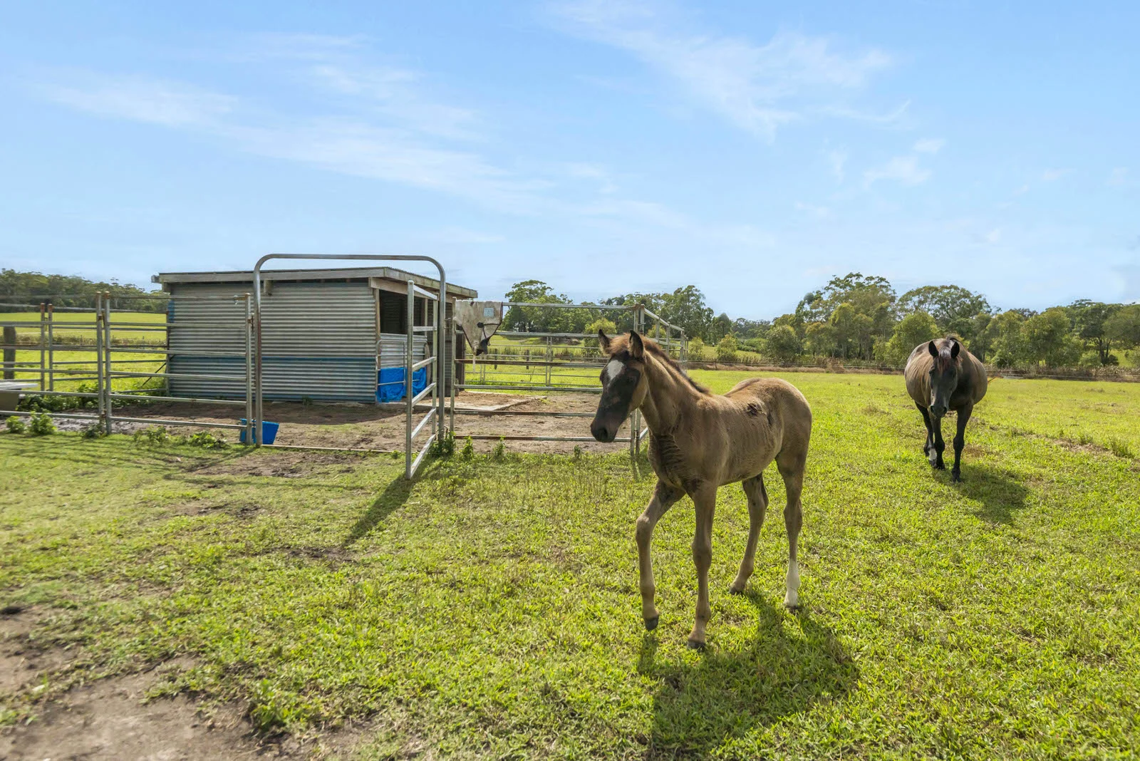 Additional image 22 of 406 Old Bagotville Road, Bagotville NSW 2477