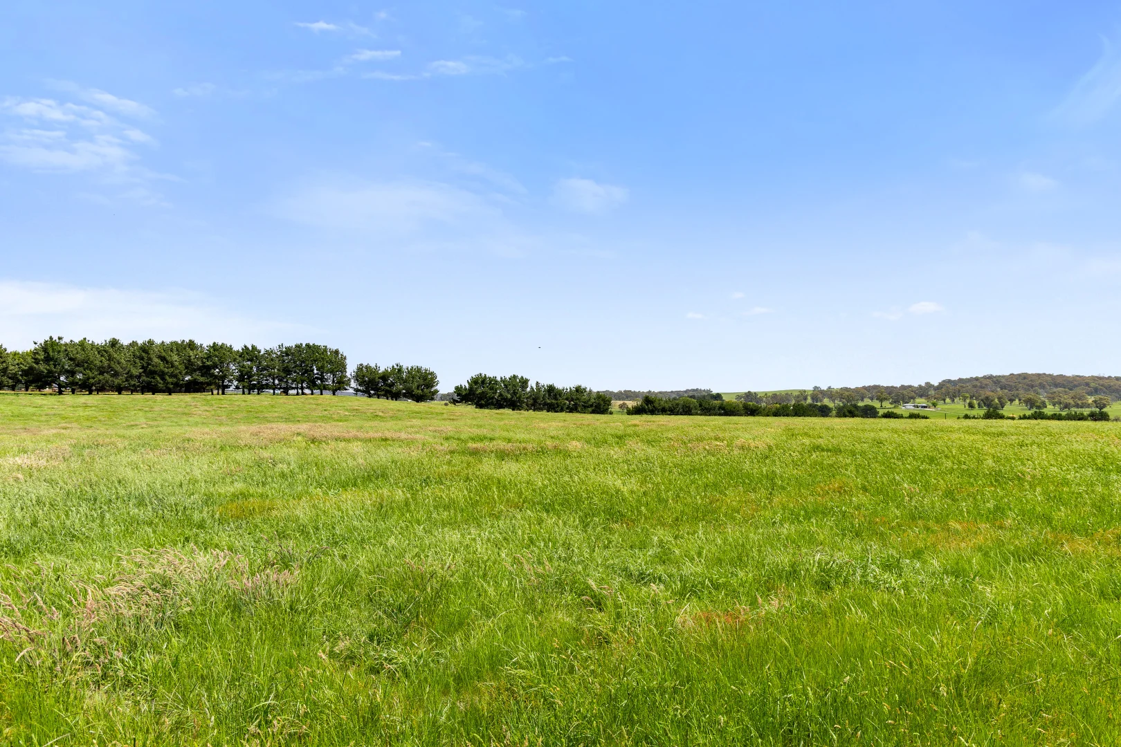 Additional image 55 of 192 Dawsons Creek Road Bannister Via, Crookwell NSW 2583