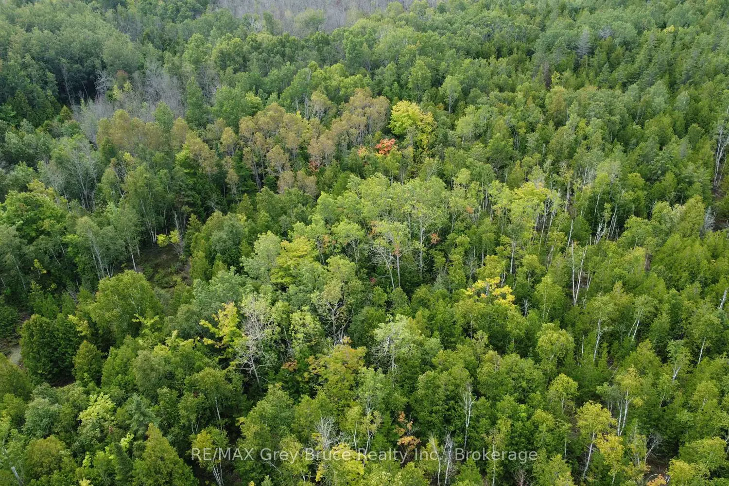 Additional image 19 of 41 Noble Drive