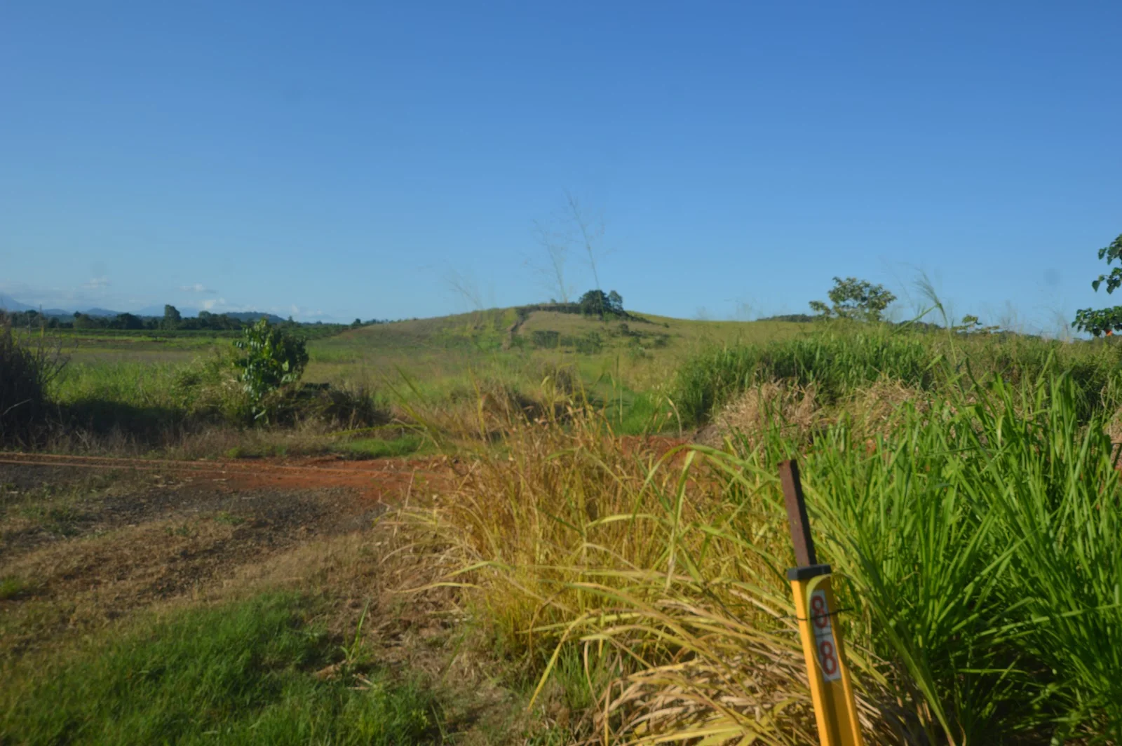 Additional image 3 of 1212 Innisfail Japoon Road, Camp Creek QLD 4871