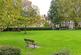 Additional image 19 of Maplestead Road, SW2