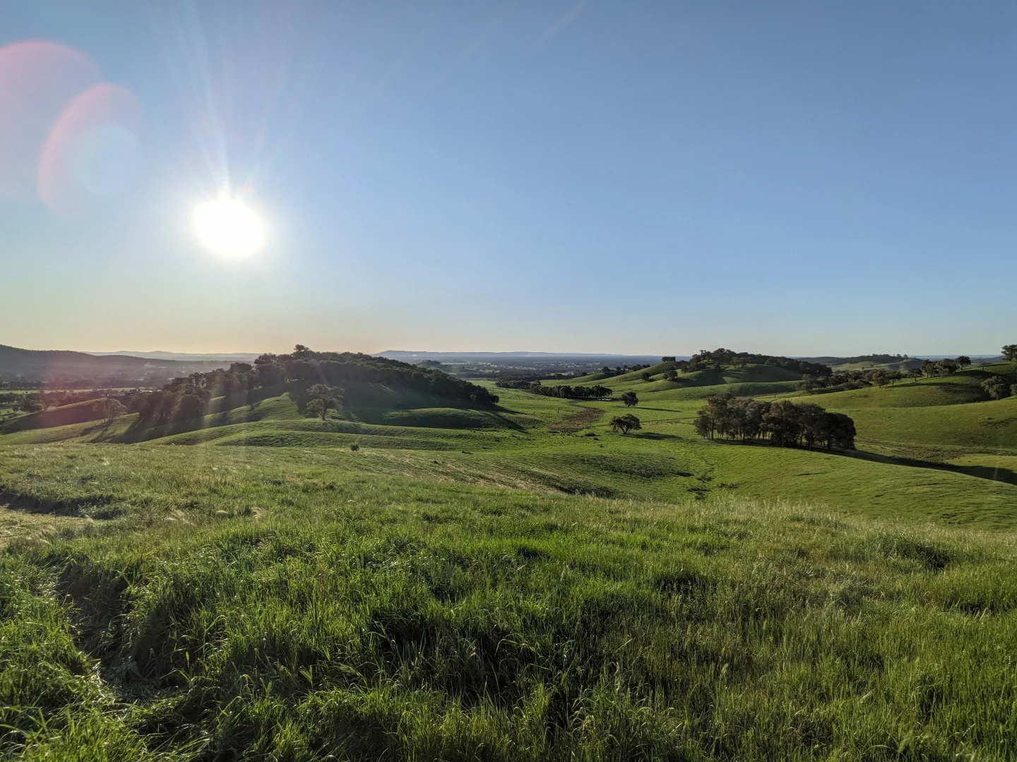 Additional image 20 of 409 McInnes Lane, Bobinawarrah VIC 3678