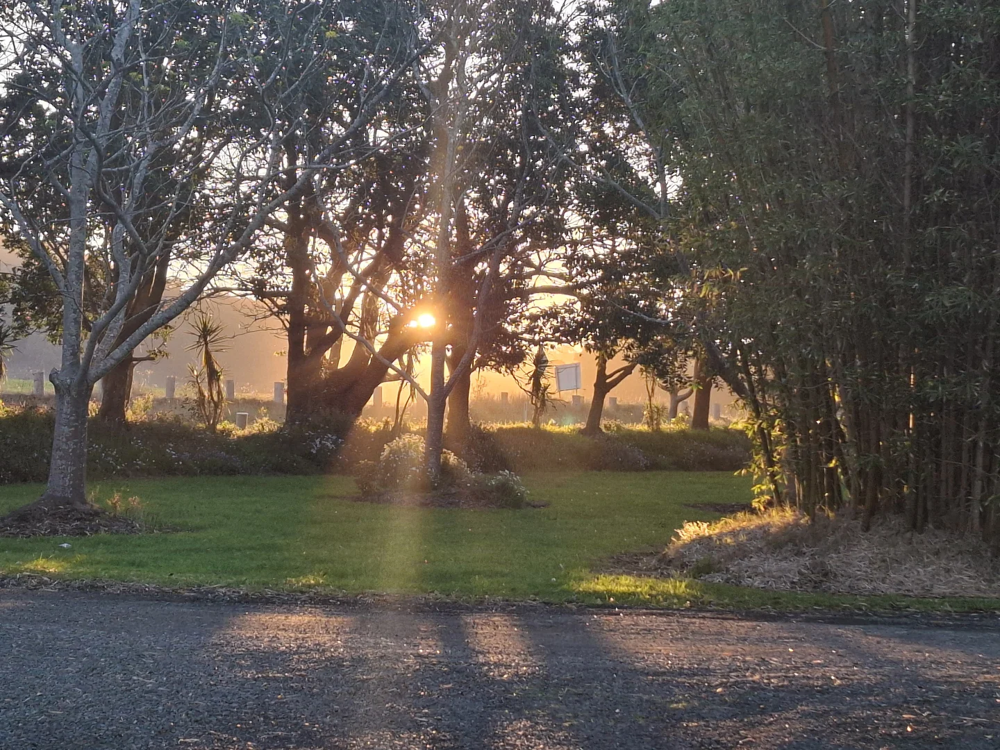 Additional image 10 of 16 Coolangatta Road, Coolangatta NSW 2535