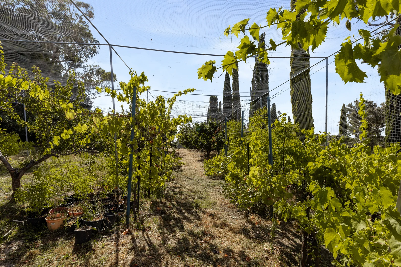 Additional image 23 of 71-79 Knees Road, Park Orchards VIC 3114