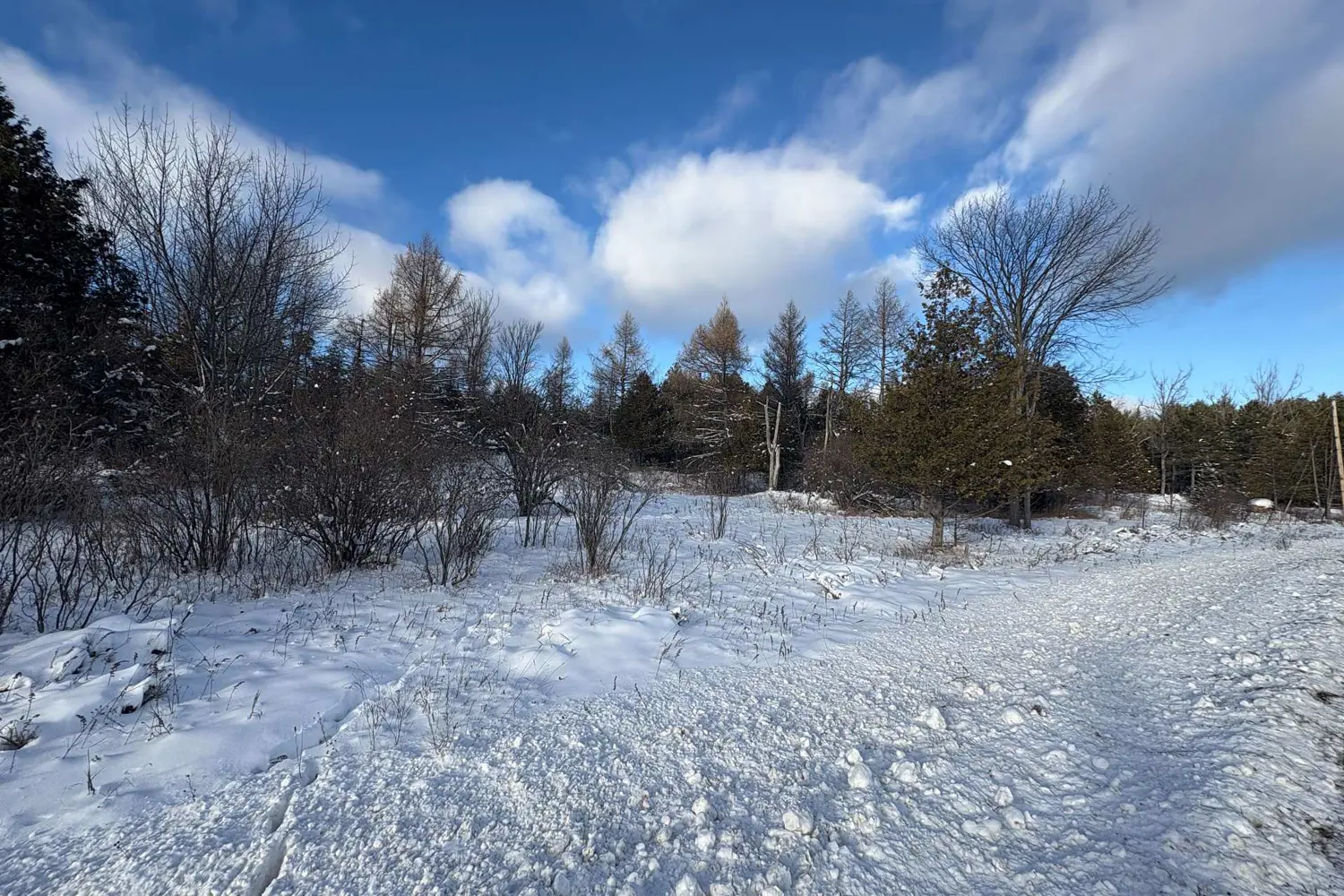 Additional image 4 of 5882 Mcdonalds Corners Road