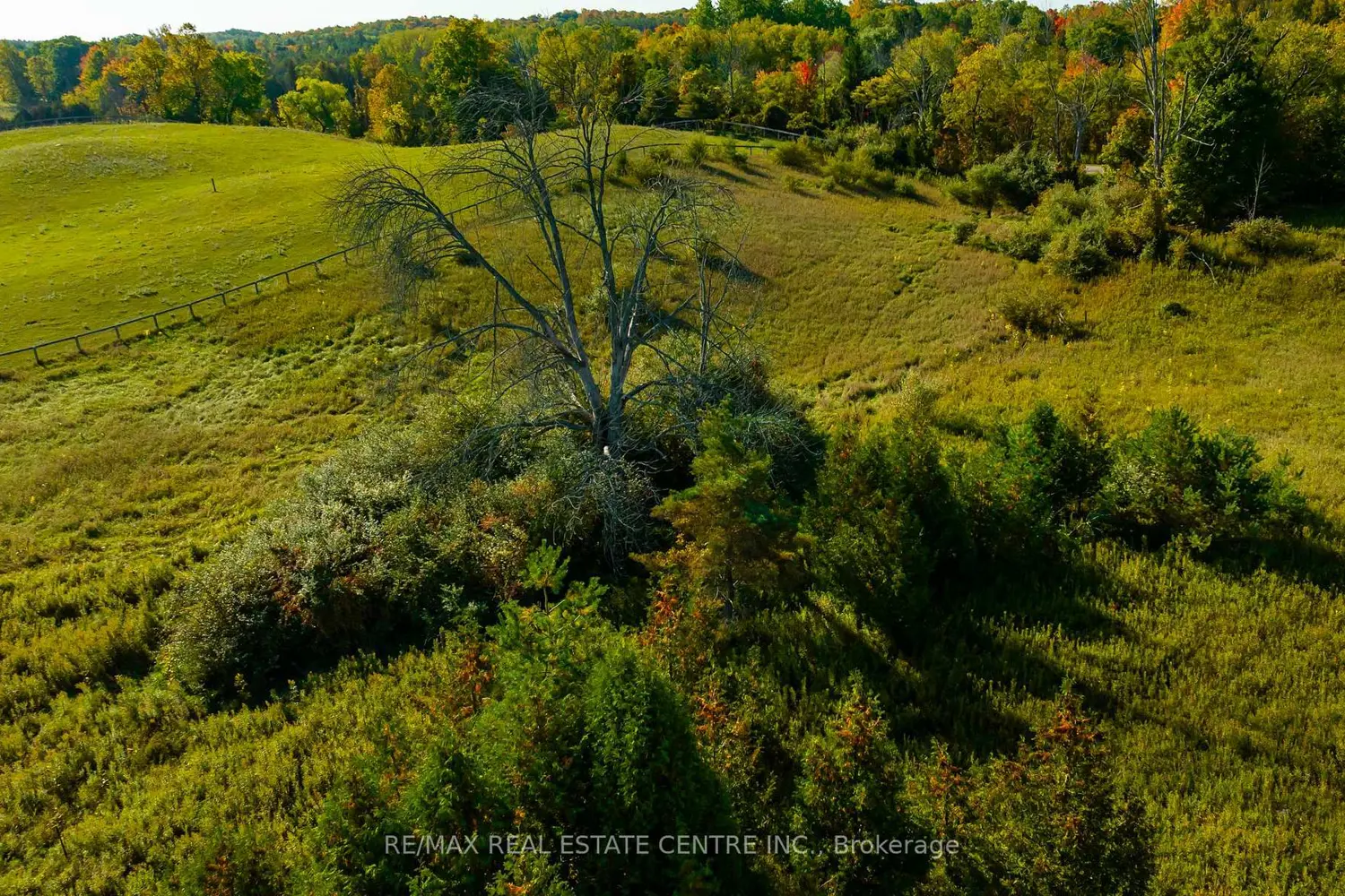 Additional image 12 of 17479 The Gore Road