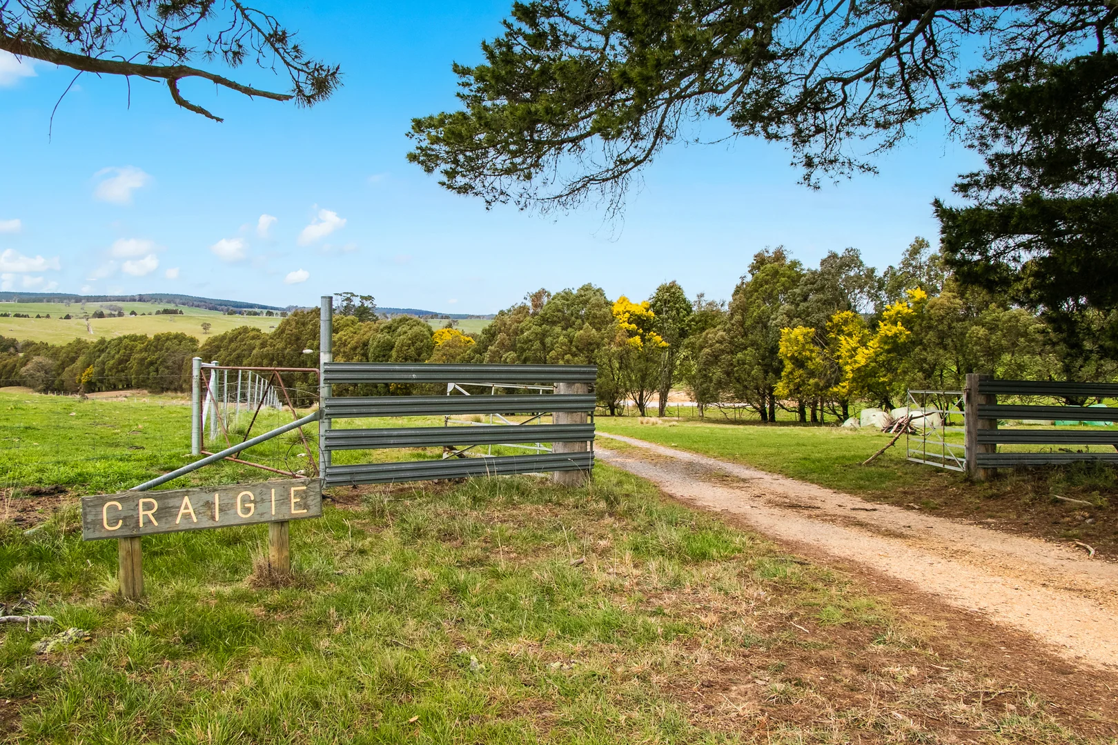 Additional image 38 of 171 Big Flat Road, Bombala NSW 2632